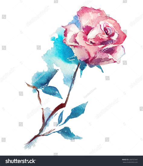 Rose Watercolor Sketch Vector Illustration Stock Vector (Royalty Free ...