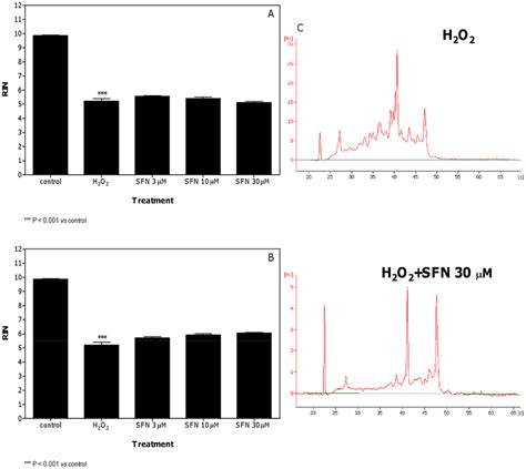 Effect Of H 2 O 2 Plus Sfn On Rna Damage In Jurkat Cells Rin Values