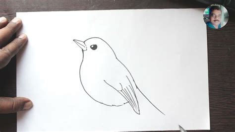 How to draw a BIRD easy steps, step by step | Bird drawings, Drawings, Draw