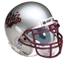 Montana Grizzlies Full Size Authentic Helmet by Schutt | Sports ...