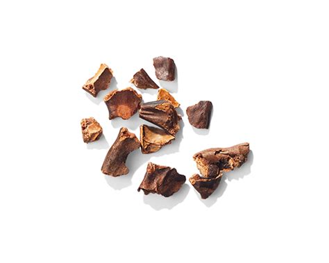 Carob Seed Extract – Function of Beauty