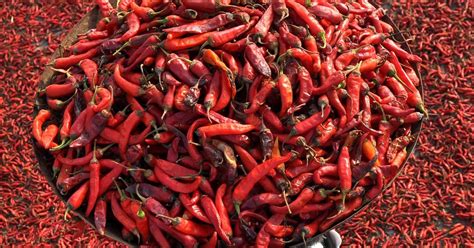 Study Eating Hot Chili Peppers May Help You Live Longer Cbs Philadelphia