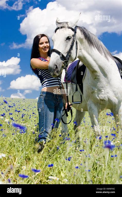 Pferd Stehend Auf Einer Blumenwiese Fotos Und Bildmaterial In Hoher