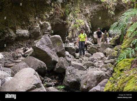 Los Tilos Biosphere La Palma Fotograf As E Im Genes De Alta Resoluci N