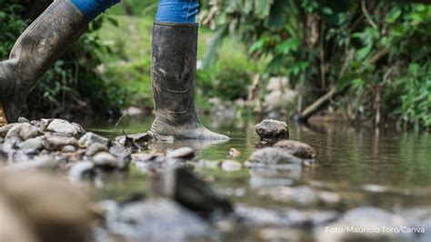 286 mil migrantes já cruzaram a selva de Darién em 2024 Scalabrinianas