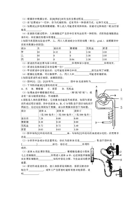 人教版七年级下册生物第五章 人体内废物的排出 练习题无答案 21世纪教育网