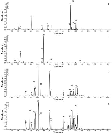 Chromatographic Profile Obtained By Hs Spme Gc Ms Of Volatile Compounds