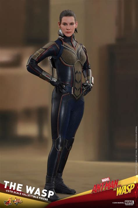 The Wasp By Hot Toys
