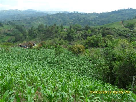 Escuela De Agricultura EcolÓgica Con Énfasis En Asociatividad Agroecologia Hambre Y Decremiento