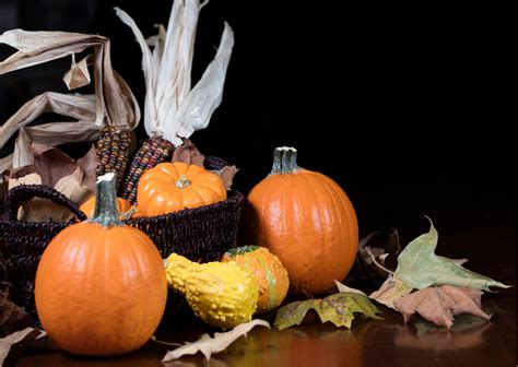 Moderne Herbstdeko F R Drau En Ideen Zur Versch Nerung