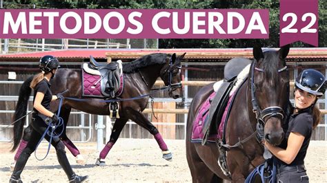 Tipos De Trabajo A La Cuerda Para Caballos 🐴🤍 Youtube