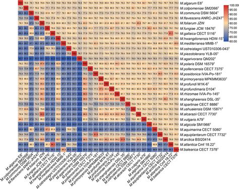 Pairwise Comparisons Of The Average Nucleotide Identity Ani And Download Scientific Diagram