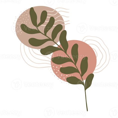 Aesthetic Leaf Plant With Abstract Shapes Minimalist Style Nature