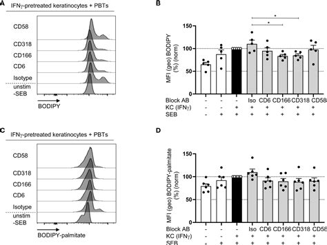 Frontiers Keratinocyte Induced Costimulation Of Human T Cells Through