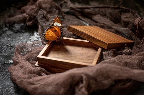 Butterfly Box - Kelvin Chow - Vanishing Inc. Magic shop