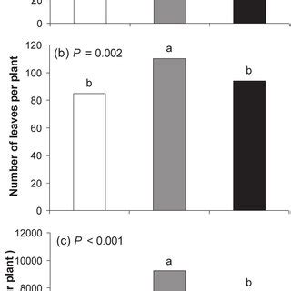 Right Effect Of Soil And Foliar Applications Of Soluble Si On Mean