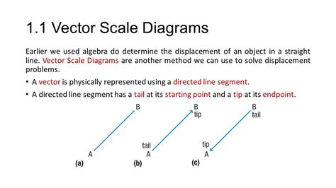 Vector Scale Diagram At Collection Of Vector Scale