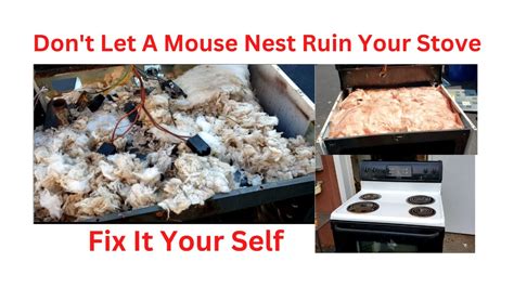 Mice Nest Inside The Insulation Of Oven Or Cook Stove Smells Like Urine