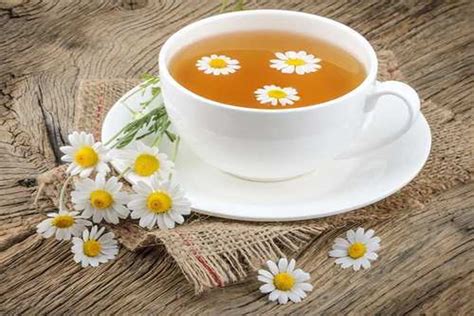 Unbelievable Benefits Of Chamomile Tea On Our Body The Statesman