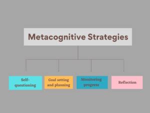 Unleashing the Power of Metacognition in Education | shikshaERP