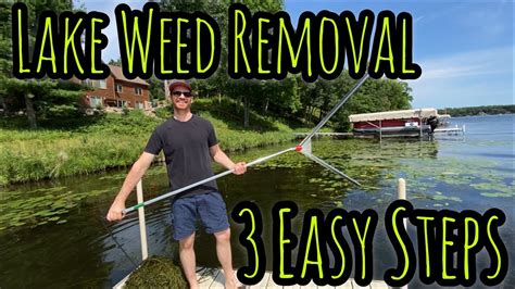 How To Get Rid Of Pond Weeds Proven Clear Water Tactics