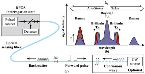 Sensors Free Full Text Distributed Fiber Optic Shape Sensing Of