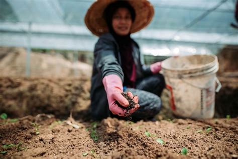 Jenis Tanah Yang Baik Untuk Tanaman Fakultas Pertanian