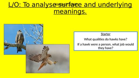 Hughes' Hawk Roosting - Analysis | Teaching Resources