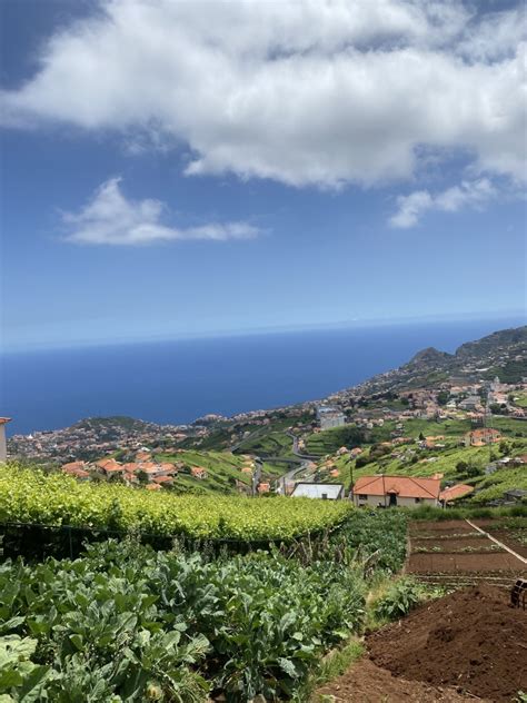 Madeira čaroban portugalski otok koji ćete pamtiti cijeli život