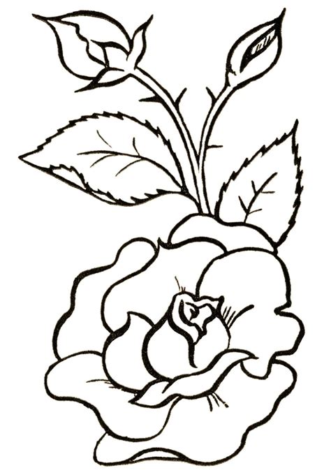 Flower Clipart Black And White Flower Drawing Flower Sketches