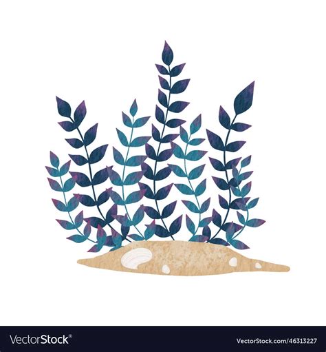 Seaweed Sea Grass With Sand Ground And Sea Shell Vector Image