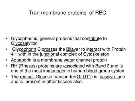 Rhesus Transmembrane Protein Complex