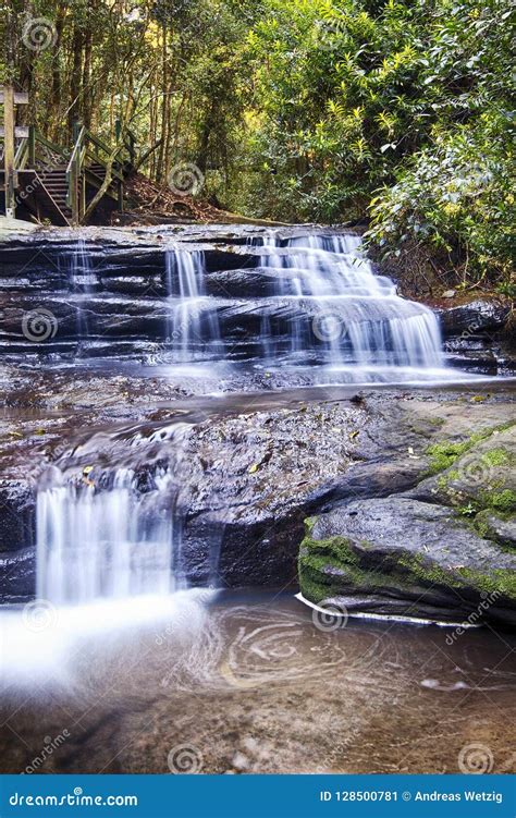 Serenity Falls At Buderim Rainforest Park Stock Image Image Of