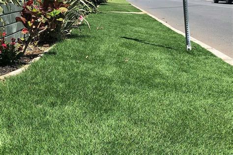 Zeon Zoysia - Birmingham Sod Company | Sod Installation & Delivery