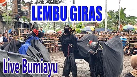 Bantengan Lembu Giras Wajak Feat Maheso Suro Bima Sakti Guo Suro