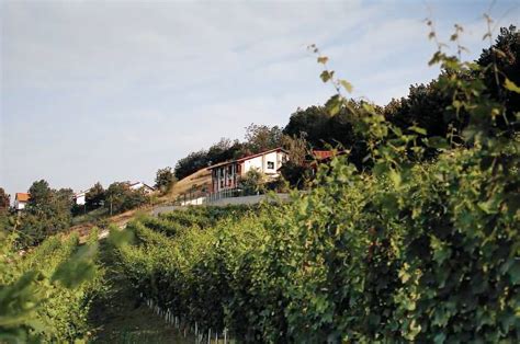 Agriturismi Asti Economici Da 62 Notte