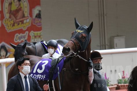 现实考证 速度大师和野田小子来年春季可选赛事 Nga玩家社区