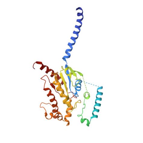 Rcsb Pdb Uo Cryoem Structure Of Beta Adrenergic Receptor In