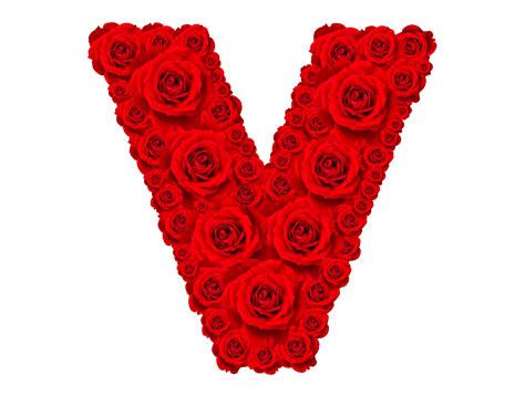 Rose Alphabet Set Alphabet Capital Letter V Made From Red Rose