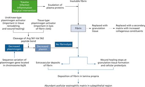 Gingival Swelling As A First Sign Of Clinical Presentation Of Ligneous