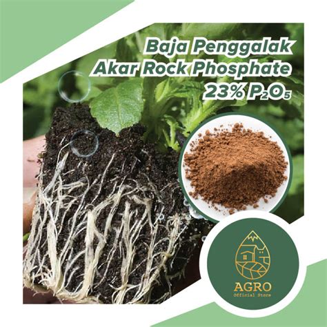 1kg Baja Penggalak Akar Cirperp Egyptian Rock Phosphate Baja Akar