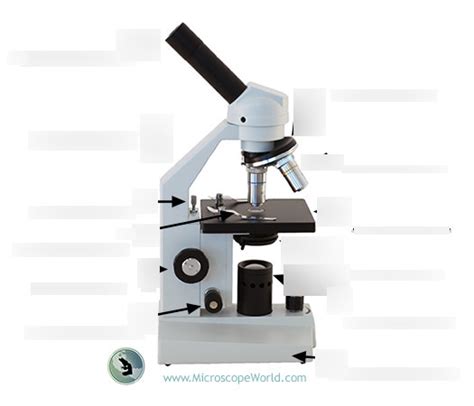 Microscope Diagram Part 2 Diagram Quizlet