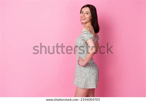 Profile Photo Pretty Millennial Brunette Lady Stock Photo 2196004703 Shutterstock