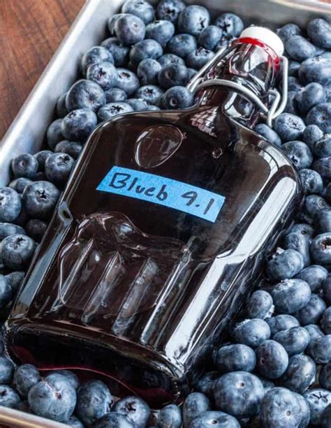 Homemade Blueberry Liqueur Forager Chef