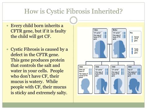 Ppt Cystic Fibrosis The Crisis In Ireland Powerpoint Presentation