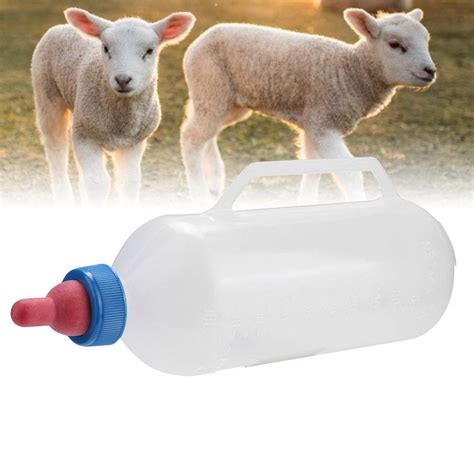 Buy Pssopp 1L Lamb Milk Bottle,Goat Milk Feeder Bottle, Horizontal Goat Feeding Cups Nursing ...