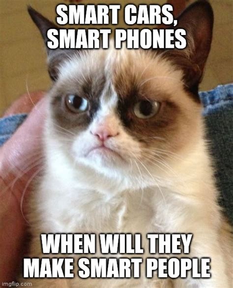 Grumpy Cat Memes - Imgflip