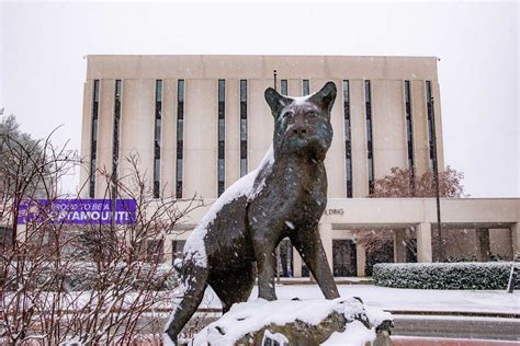 Western Carolina University - Snow Day