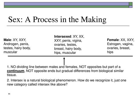 Gender Chapter 12 Lecture Powerpoint © W W Norton And Company Ppt Download