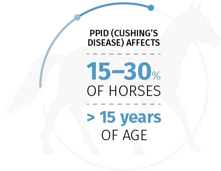 Cushing's disease in horses | BI Equine Canada